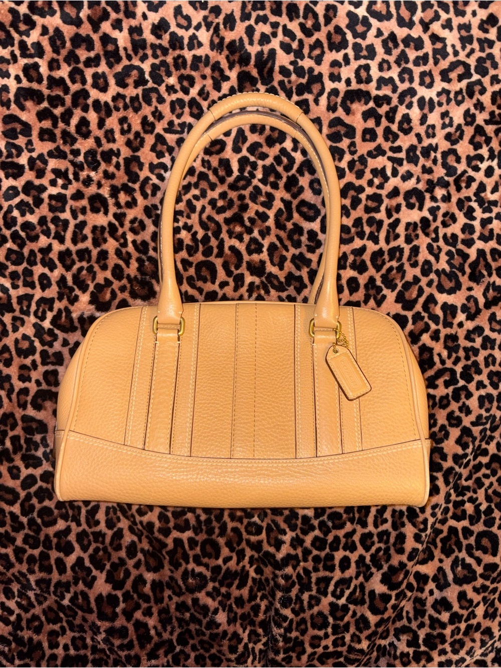 Coach Leather Satchel Tote in Tan